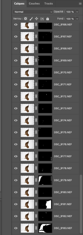 FOCUS STACKING EN 2025,FOCUS STACKING 2025