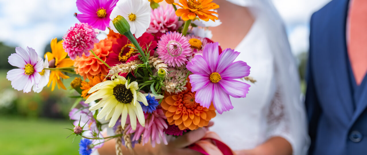 Photographe de Mariage Expert : Reportage, Livre & Animations